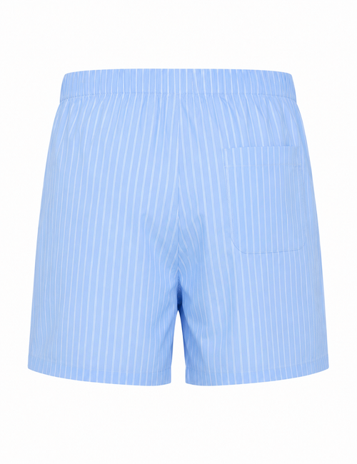 Azure Regent Shorts